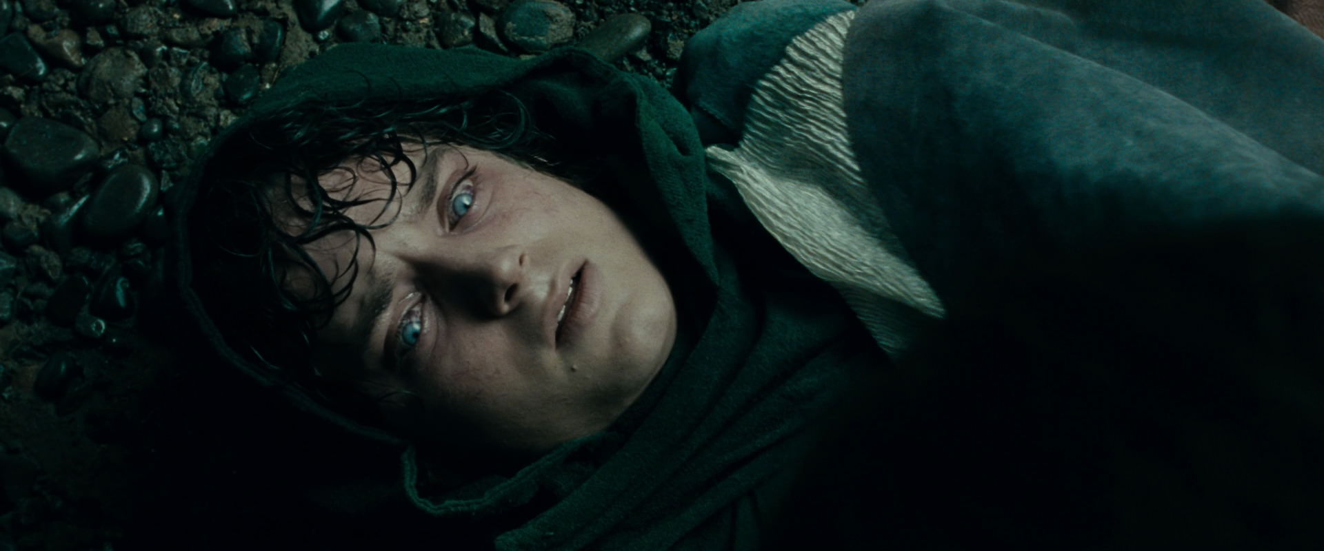 The Lord of the Rings: The Fellowship of the Ring (2001) screencap 9786
