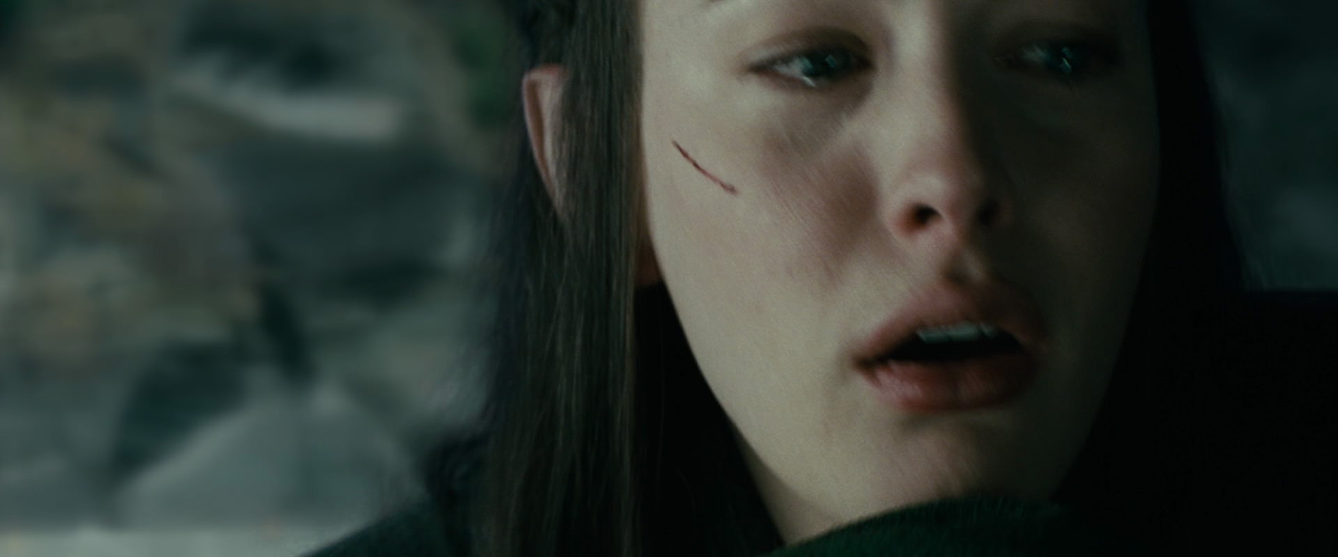 The Lord of the Rings: The Fellowship of the Ring (2001) screencap 9798