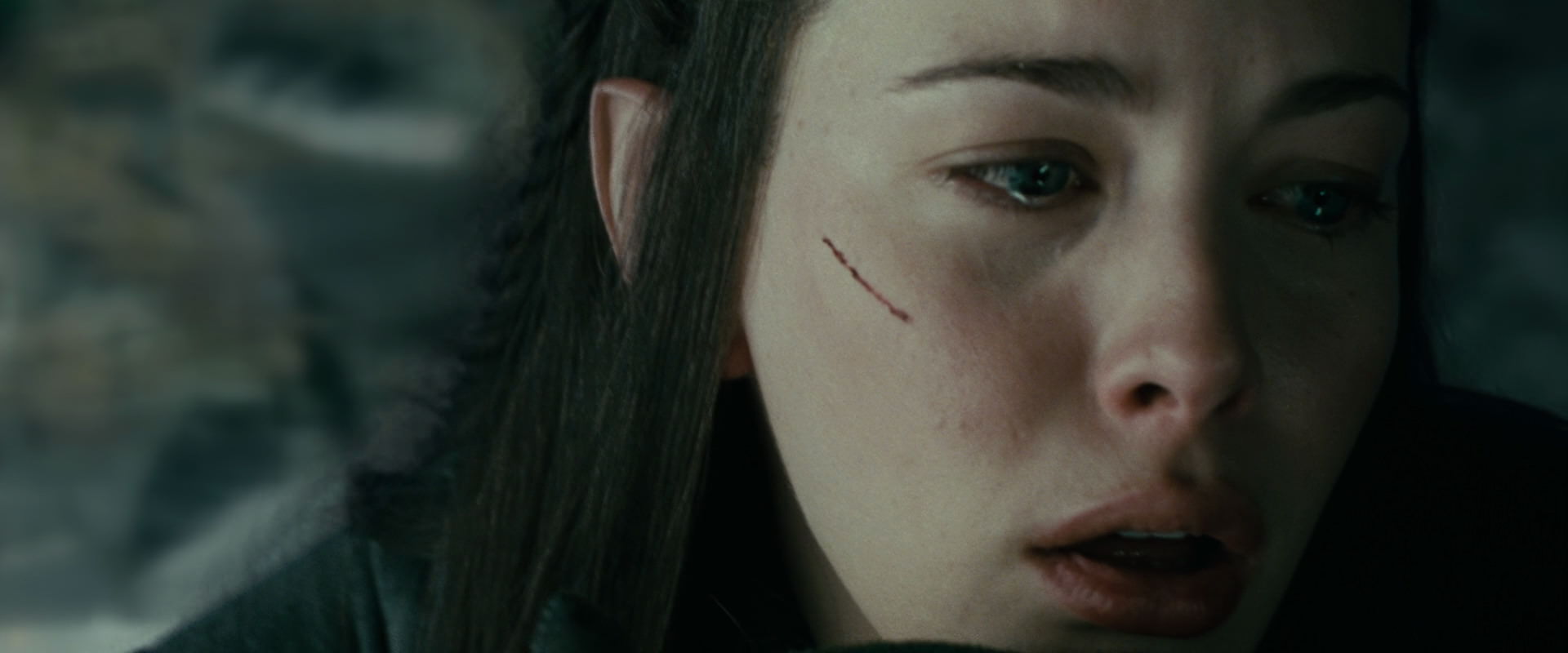 The Lord of the Rings: The Fellowship of the Ring (2001) movie still 9799