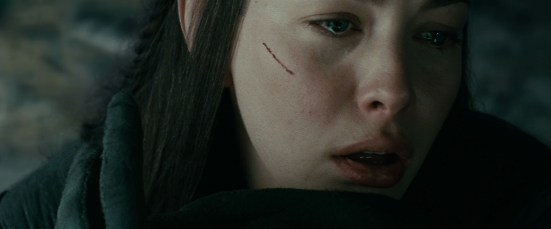 The Lord of the Rings: The Fellowship of the Ring (2001) HD screenshot 9800