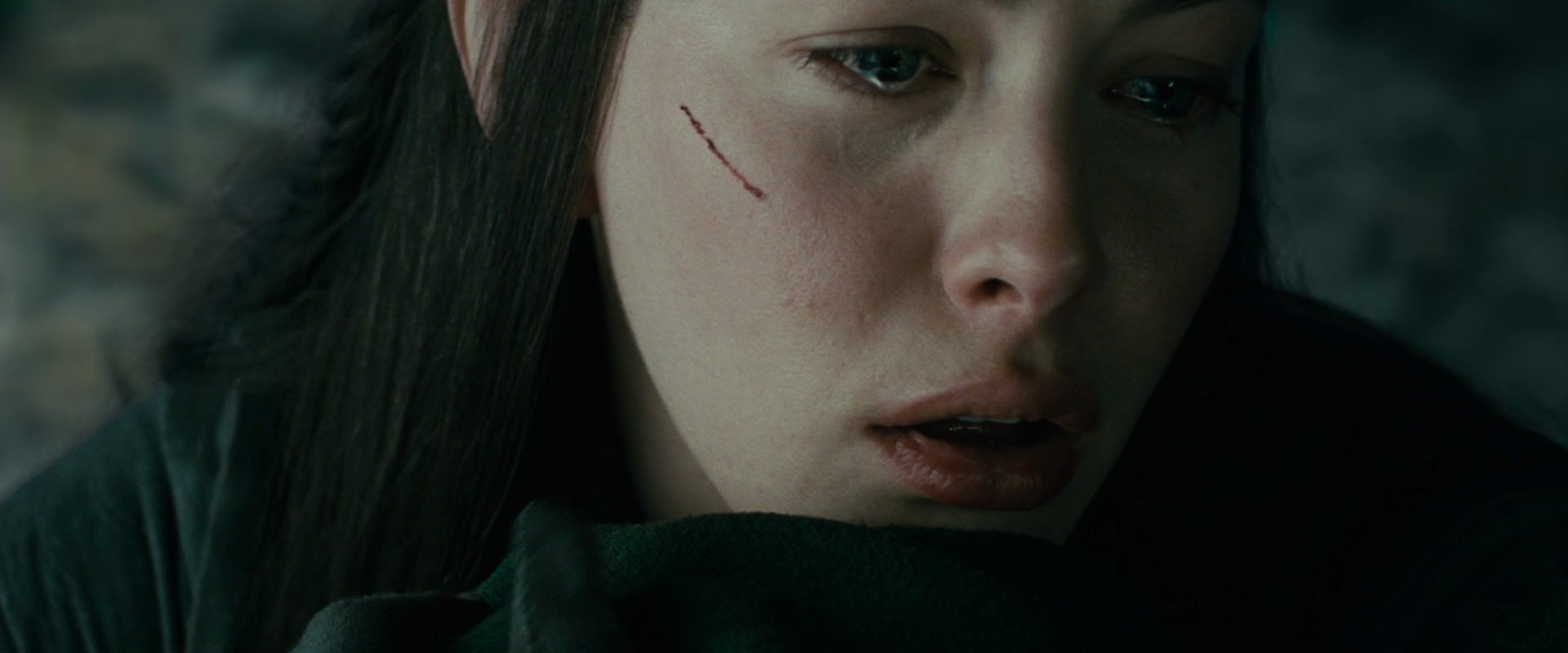 The Lord of the Rings: The Fellowship of the Ring (2001) screencap 9801
