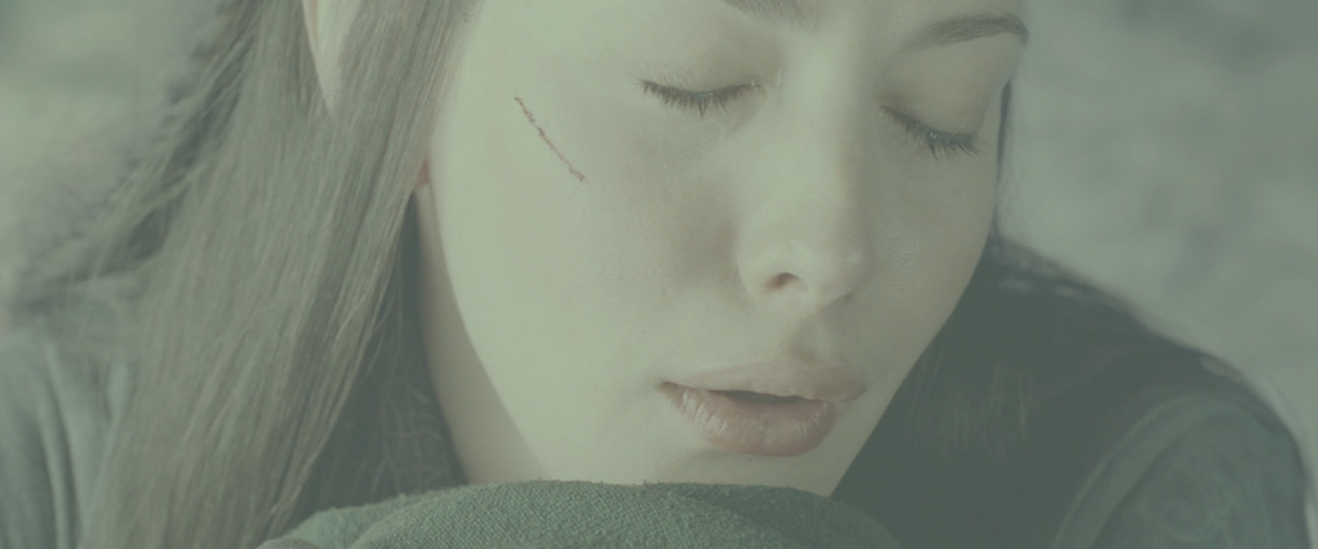 The Lord of the Rings: The Fellowship of the Ring (2001) screencap 9816