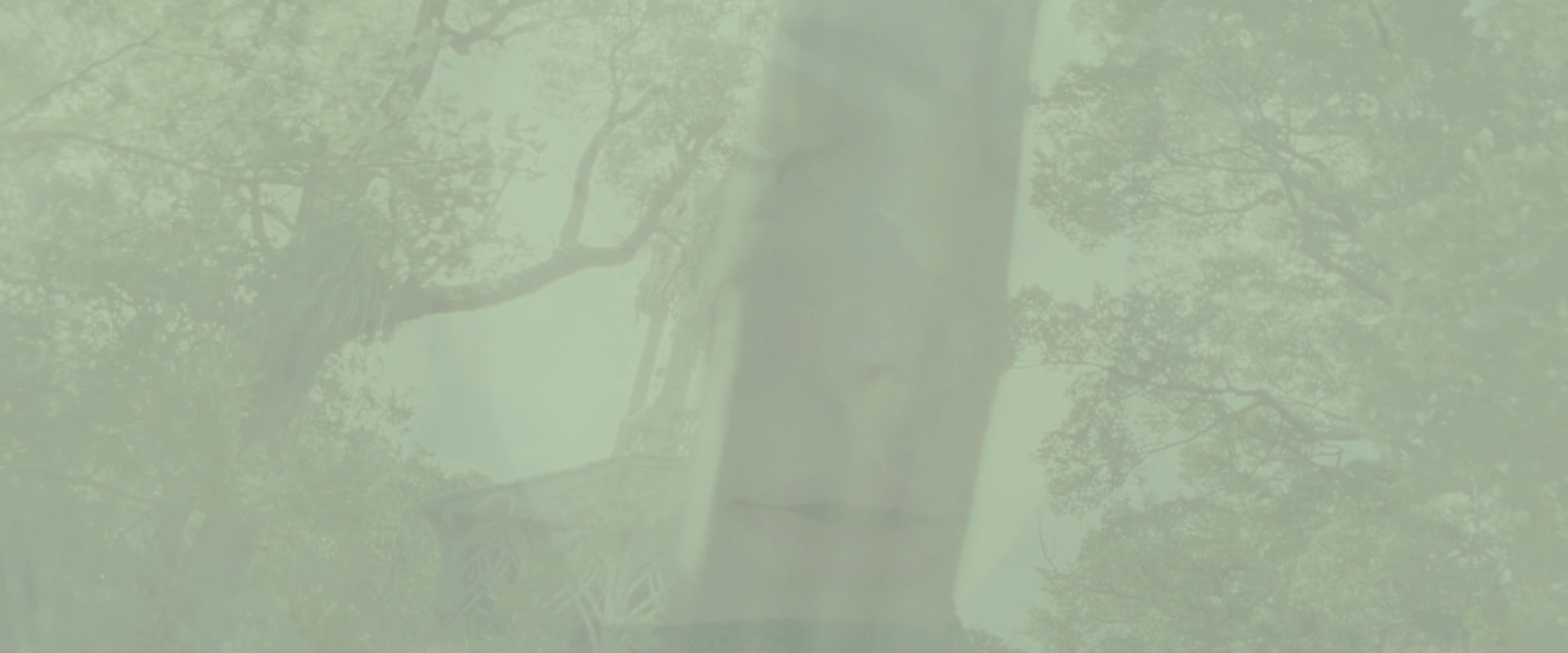 The Lord of the Rings: The Fellowship of the Ring (2001) screencap 9822