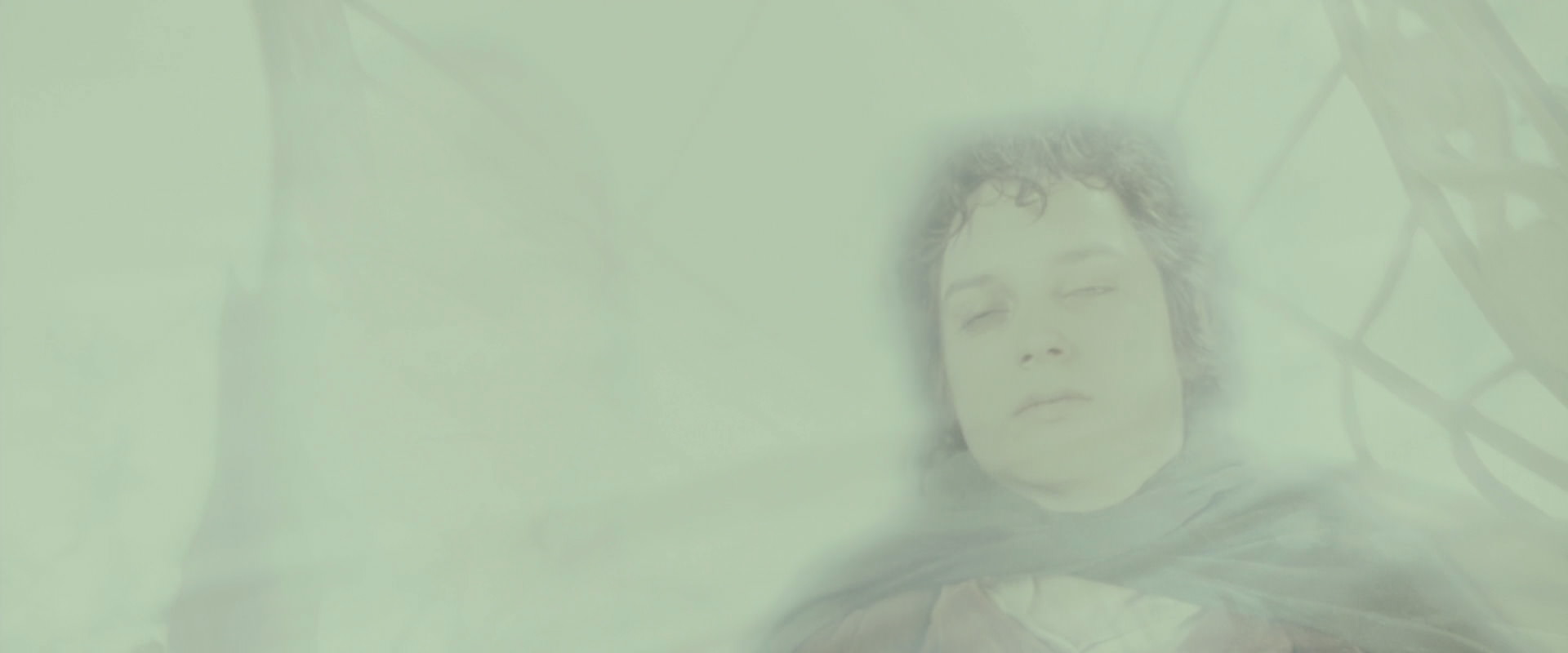 The Lord of the Rings: The Fellowship of the Ring (2001) movie still 9829