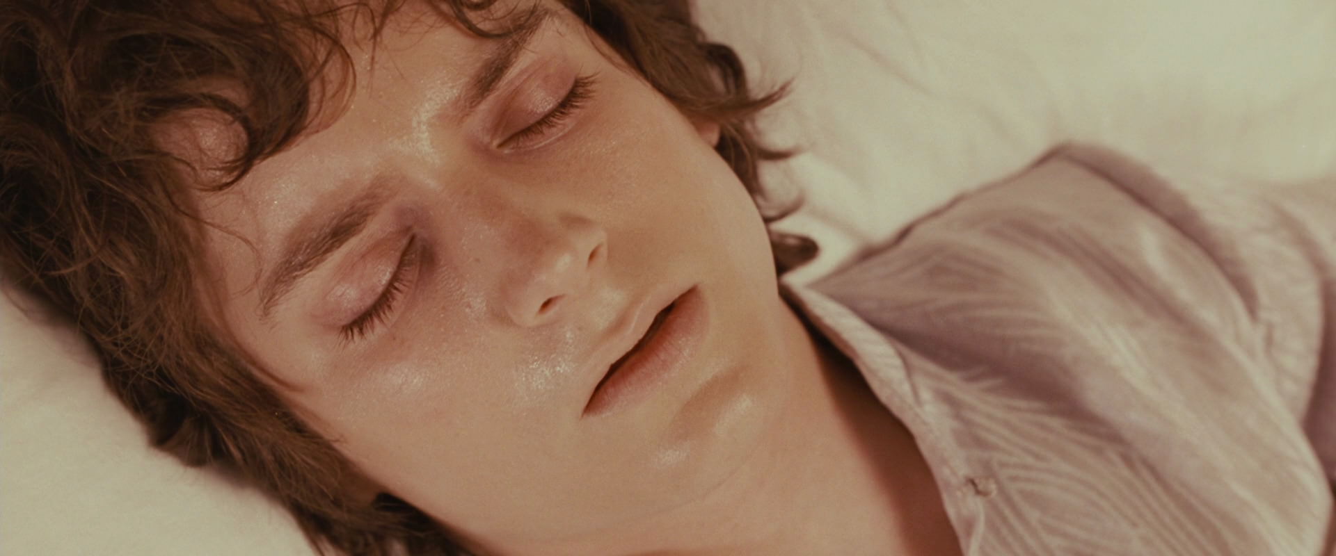 The Lord of the Rings: The Fellowship of the Ring (2001) screencap 9870