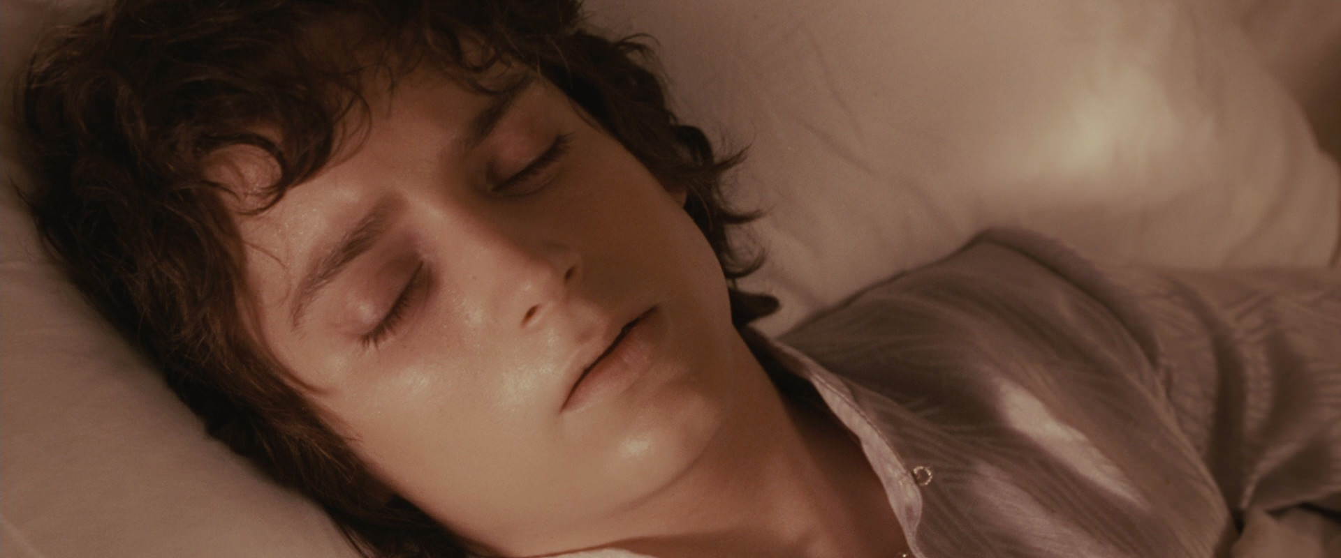 The Lord of the Rings: The Fellowship of the Ring (2001) screencap 9876