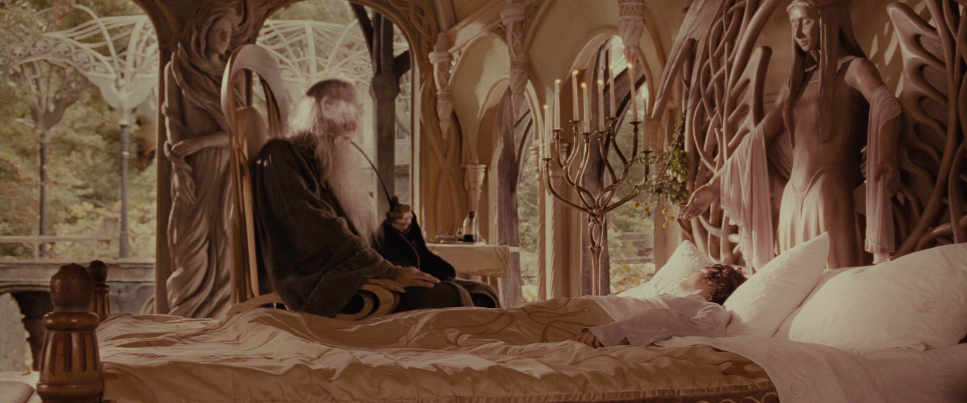 The Lord of the Rings: The Fellowship of the Ring (2001) screencap 9888