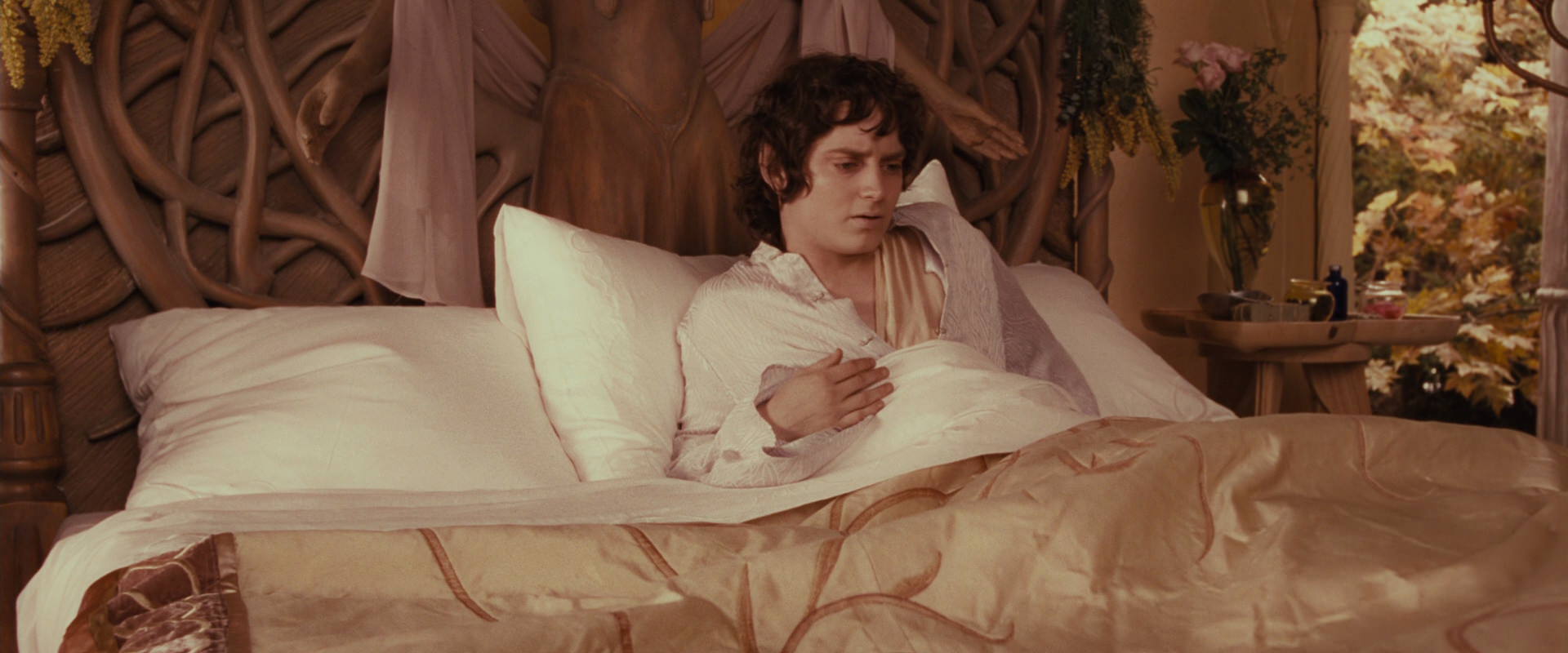 The Lord of the Rings: The Fellowship of the Ring (2001) screencap 9924