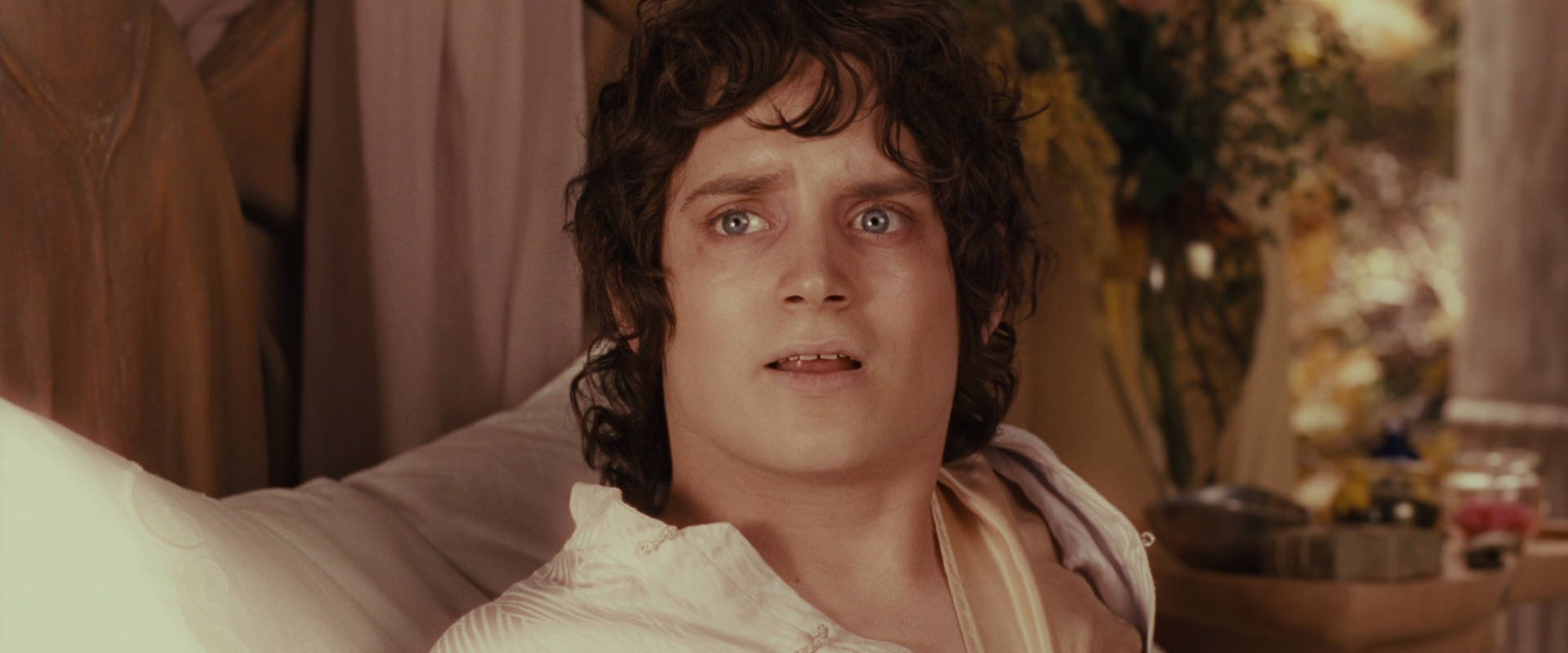 The Lord of the Rings: The Fellowship of the Ring (2001) screencap 9933