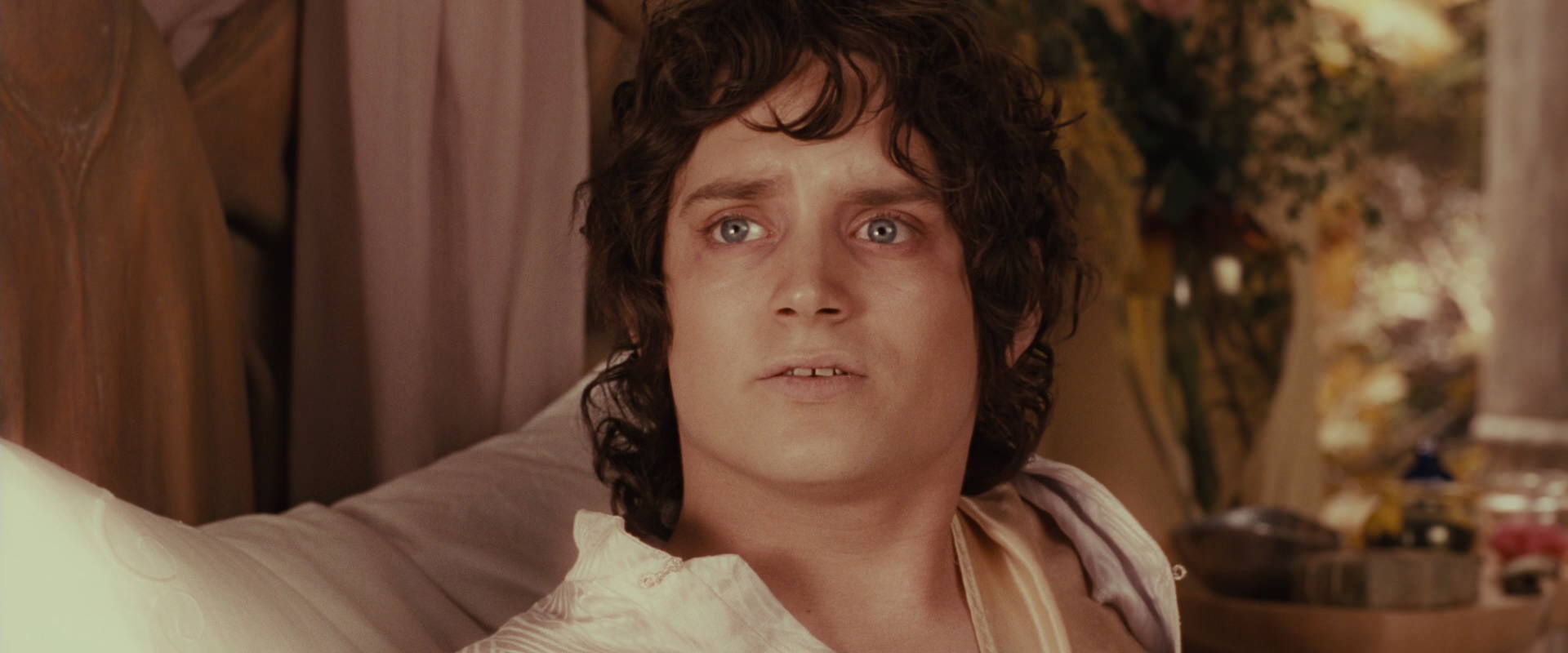 The Lord of the Rings: The Fellowship of the Ring (2001) screencap 9939