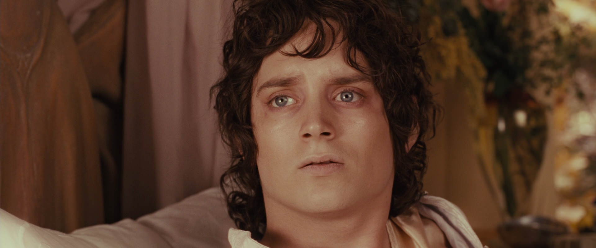 The Lord of the Rings: The Fellowship of the Ring (2001) screencap 9954
