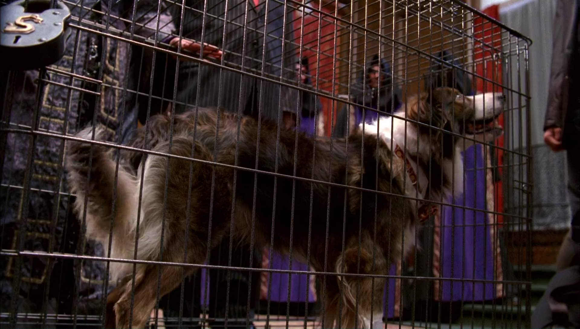 Return to Halloweentown (2006) screencap 10032