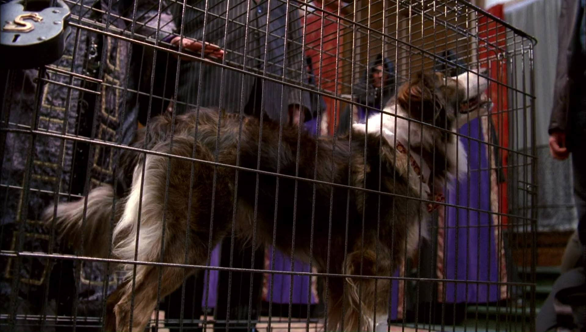 Return to Halloweentown (2006) movie still 10033