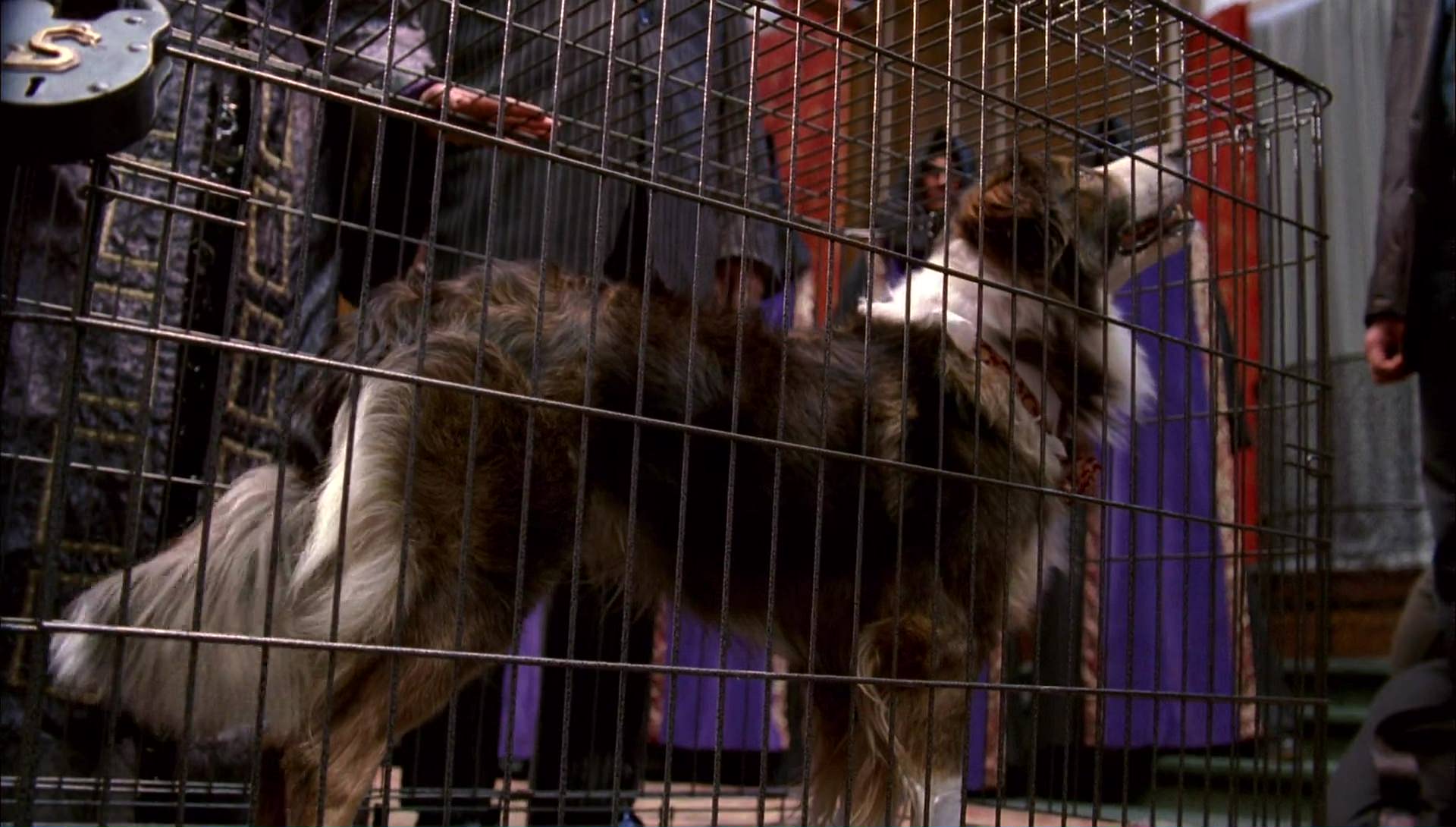 Return to Halloweentown (2006) HD screenshot 10034