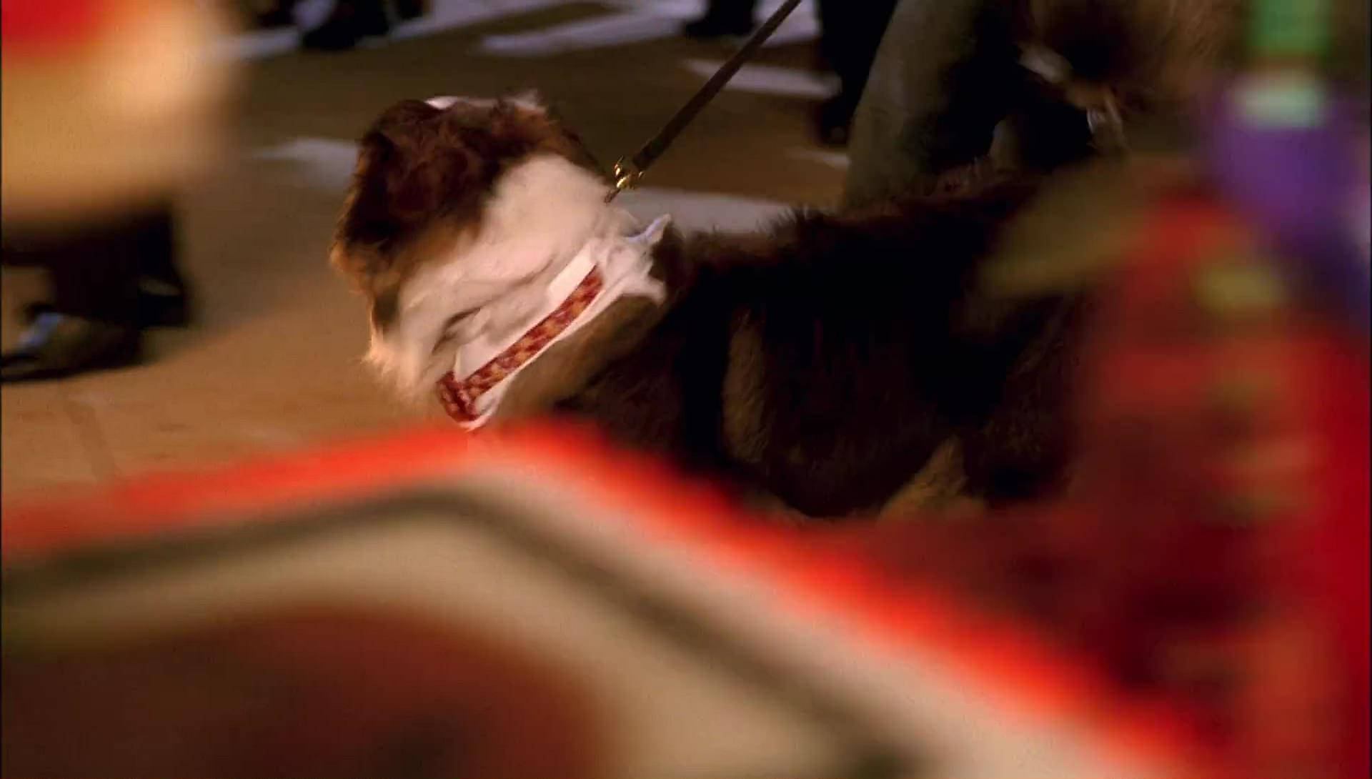 Return to Halloweentown (2006) movie still 10063