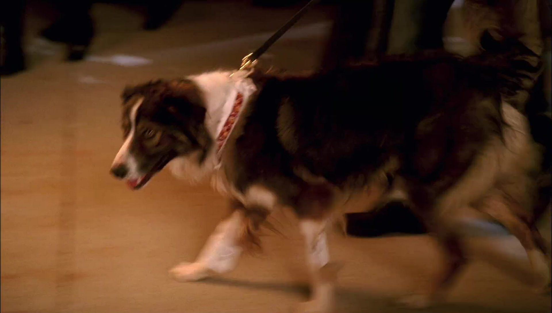 Return to Halloweentown (2006) screencap 10065