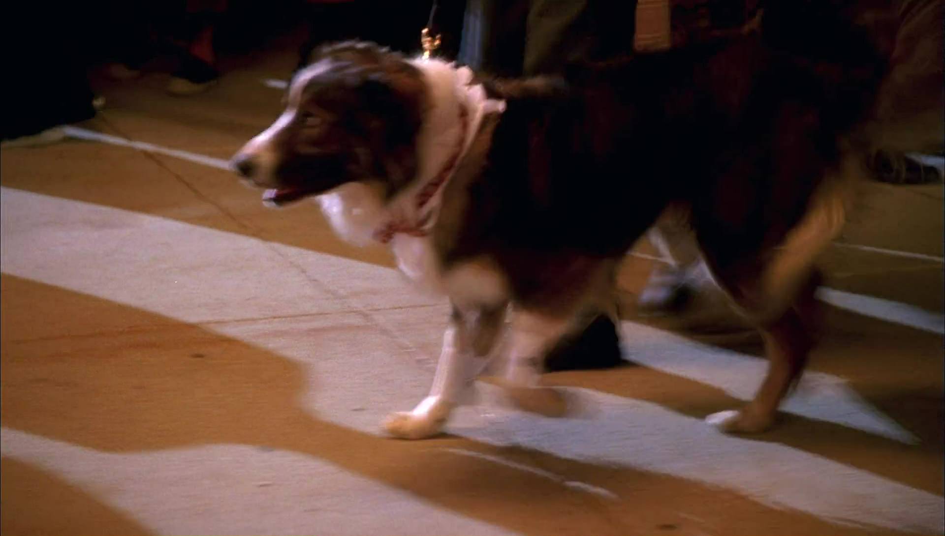 Return to Halloweentown (2006) HD screenshot 10073