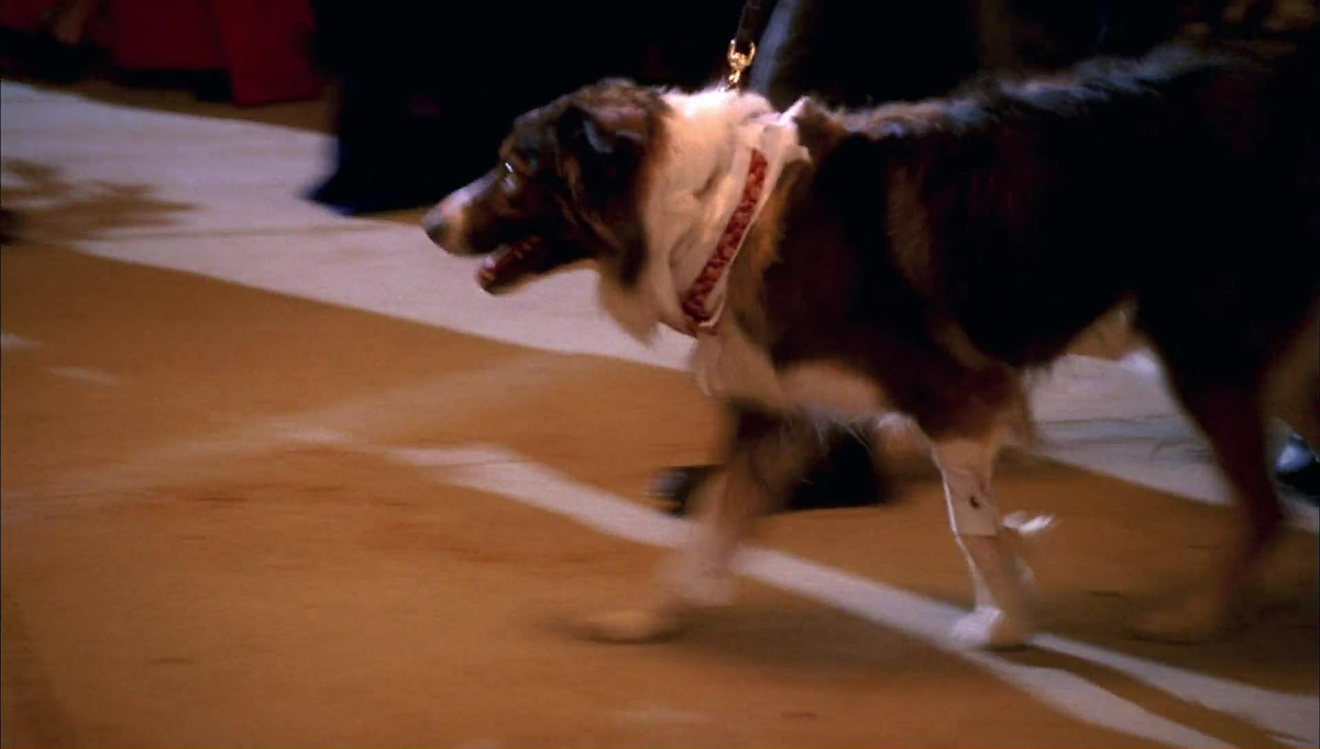 Return to Halloweentown (2006) screencap 10074