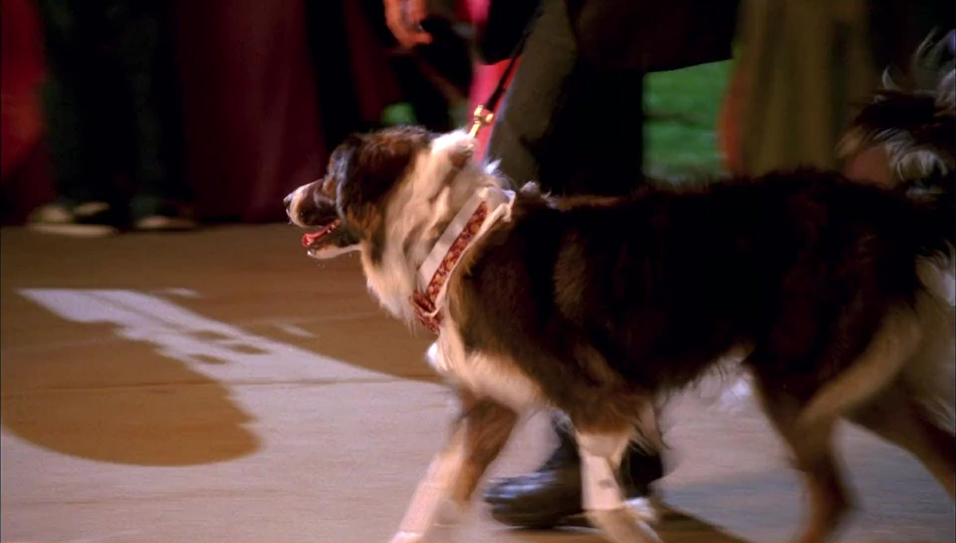 Return to Halloweentown (2006) movie still 10087