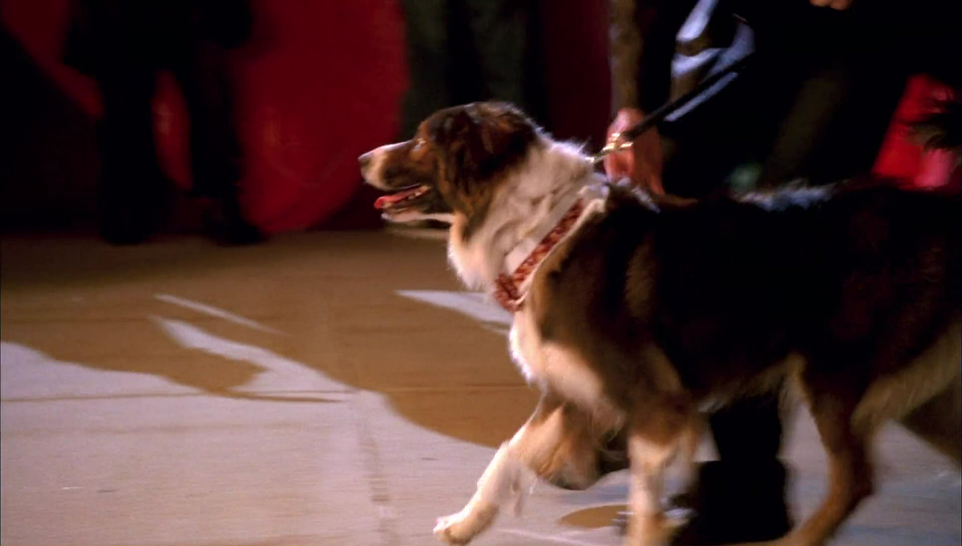 Return to Halloweentown (2006) HD screenshot 10088