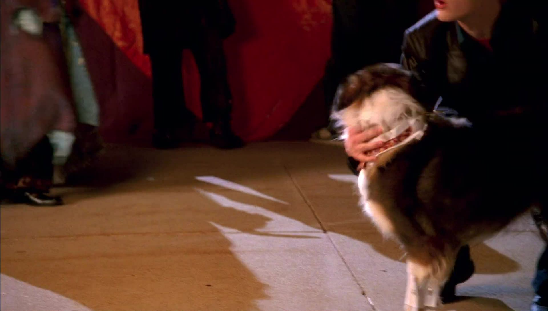 Return to Halloweentown (2006) screencap 10089