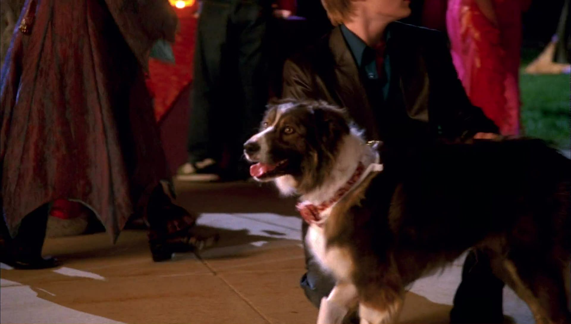 Return to Halloweentown (2006) HD screenshot 10091