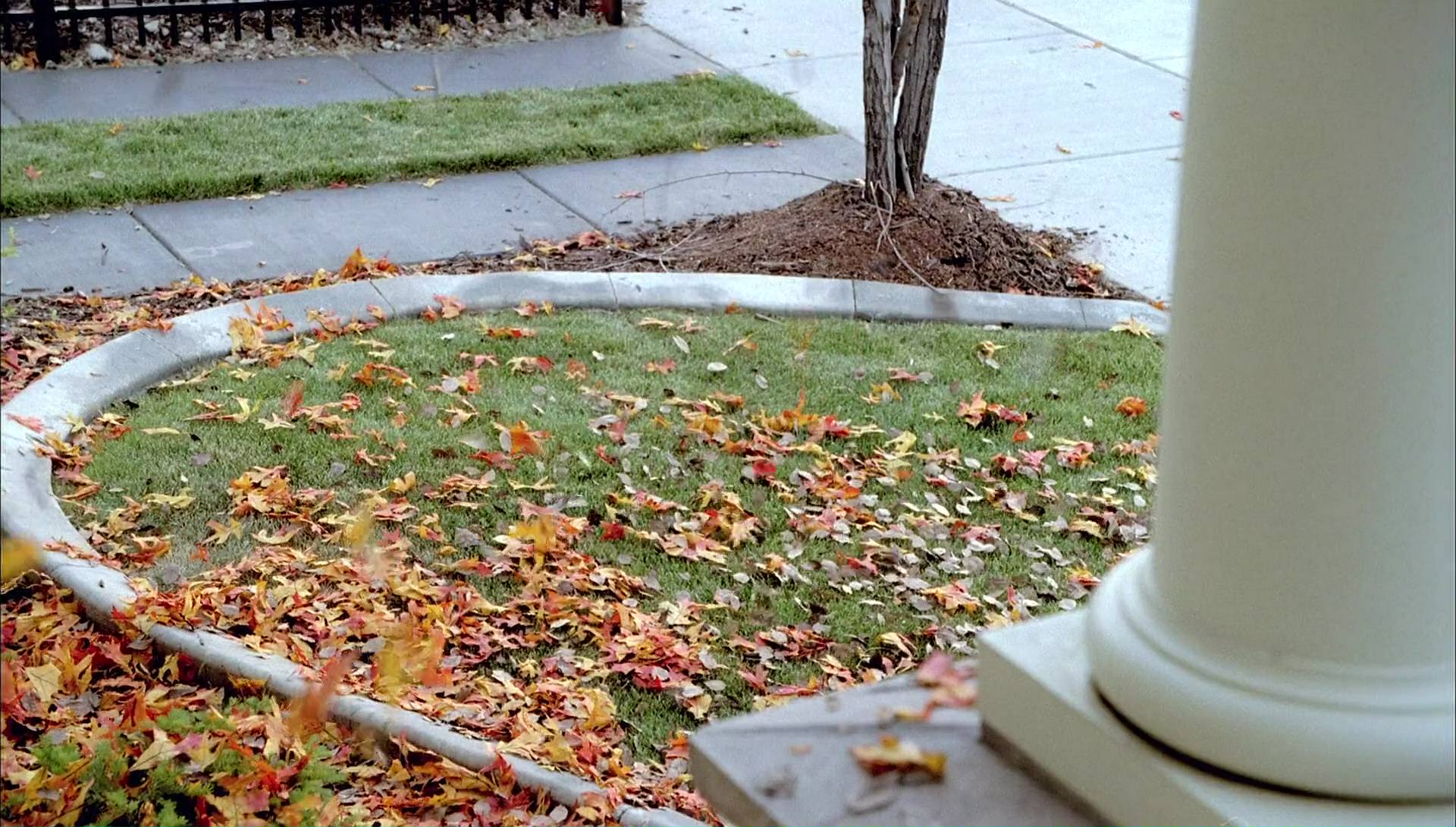 Return to Halloweentown (2006) HD screenshot 2405