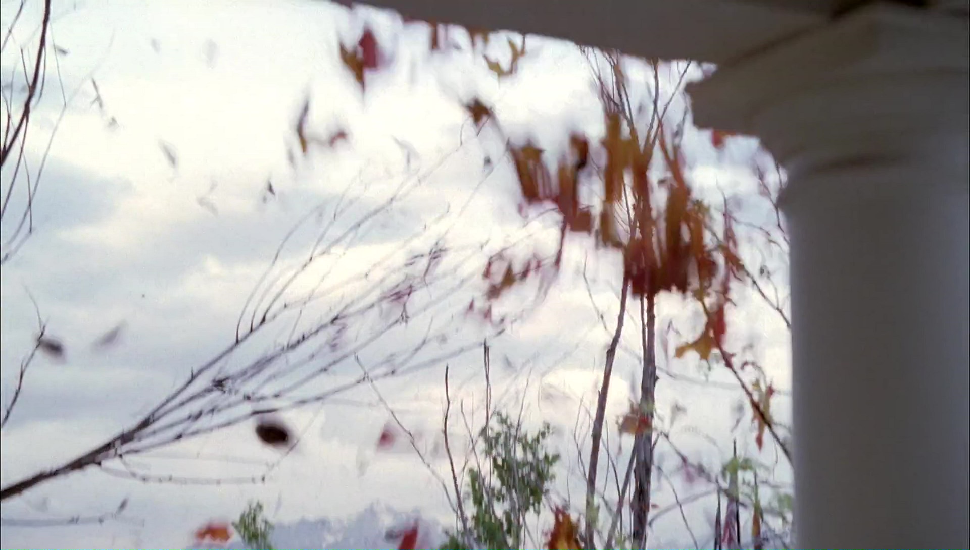 Return to Halloweentown (2006) HD screenshot 2414
