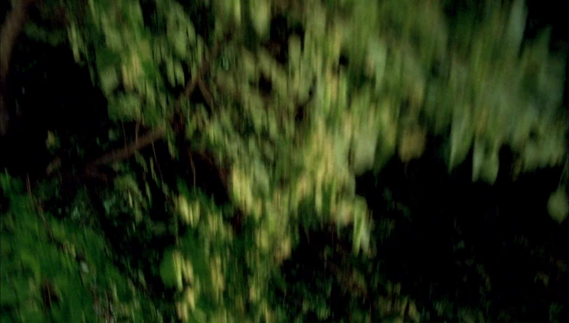 Return to Halloweentown (2006) HD screenshot 5942