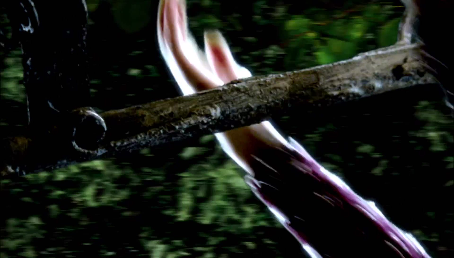 Return to Halloweentown (2006) movie still 6520