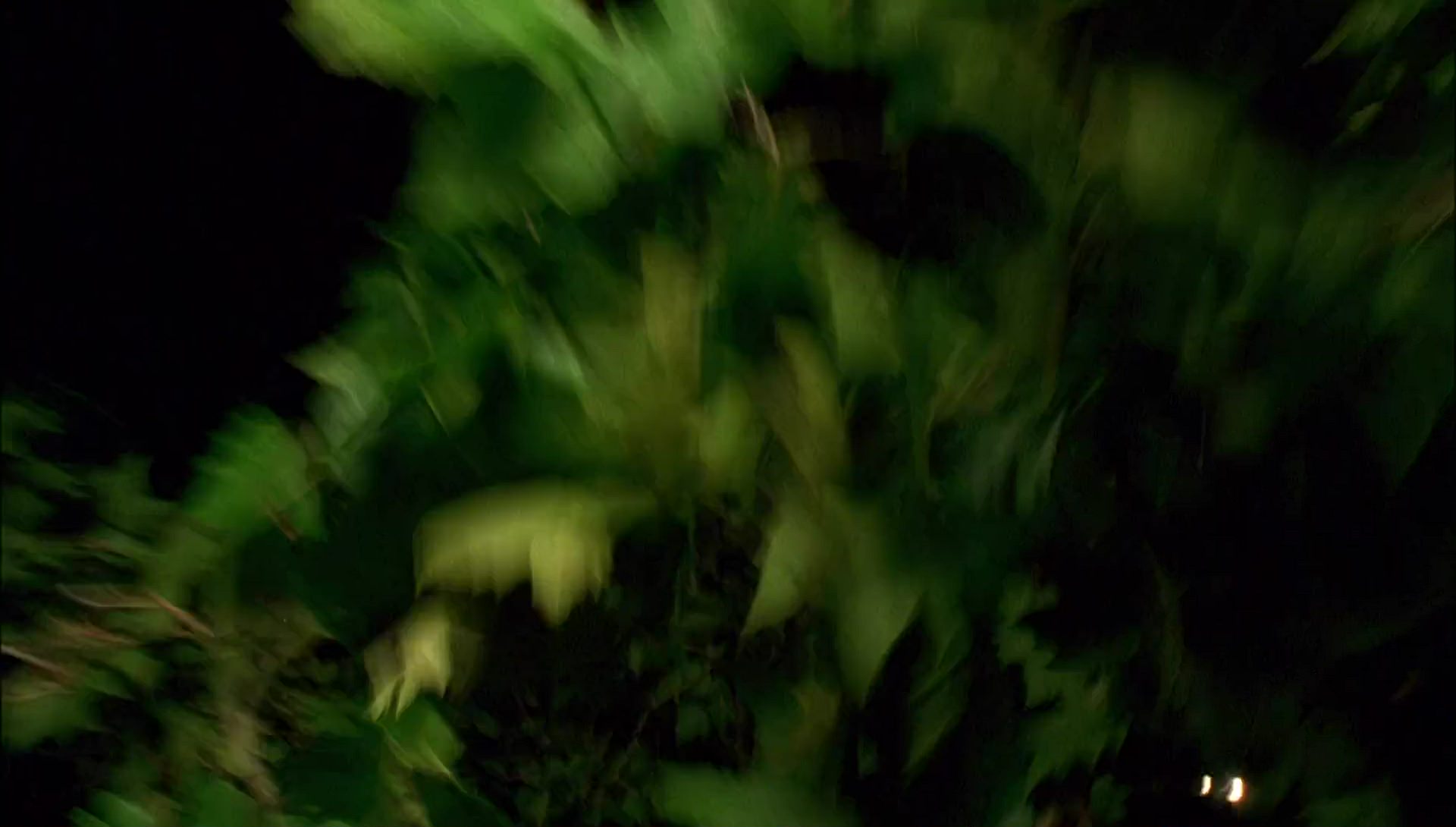 Return to Halloweentown (2006) HD screenshot 6527