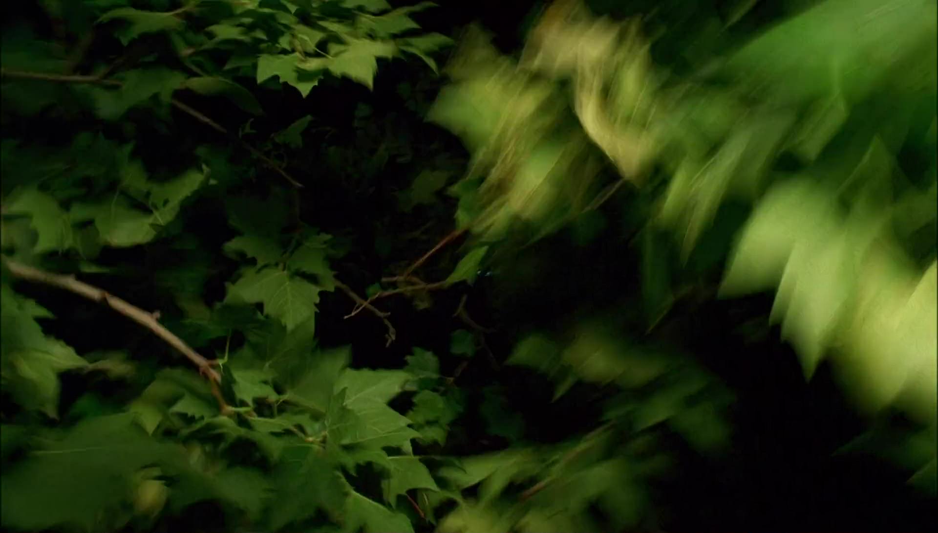 Return to Halloweentown (2006) screencap 6531