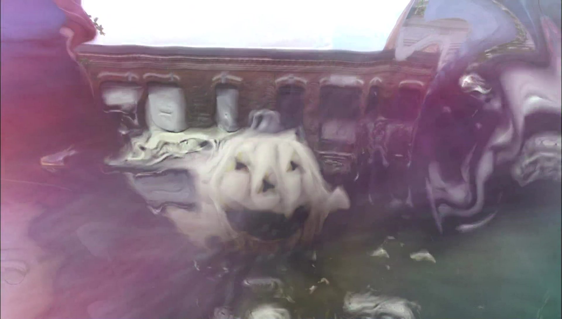 Return to Halloweentown (2006) screencap 744