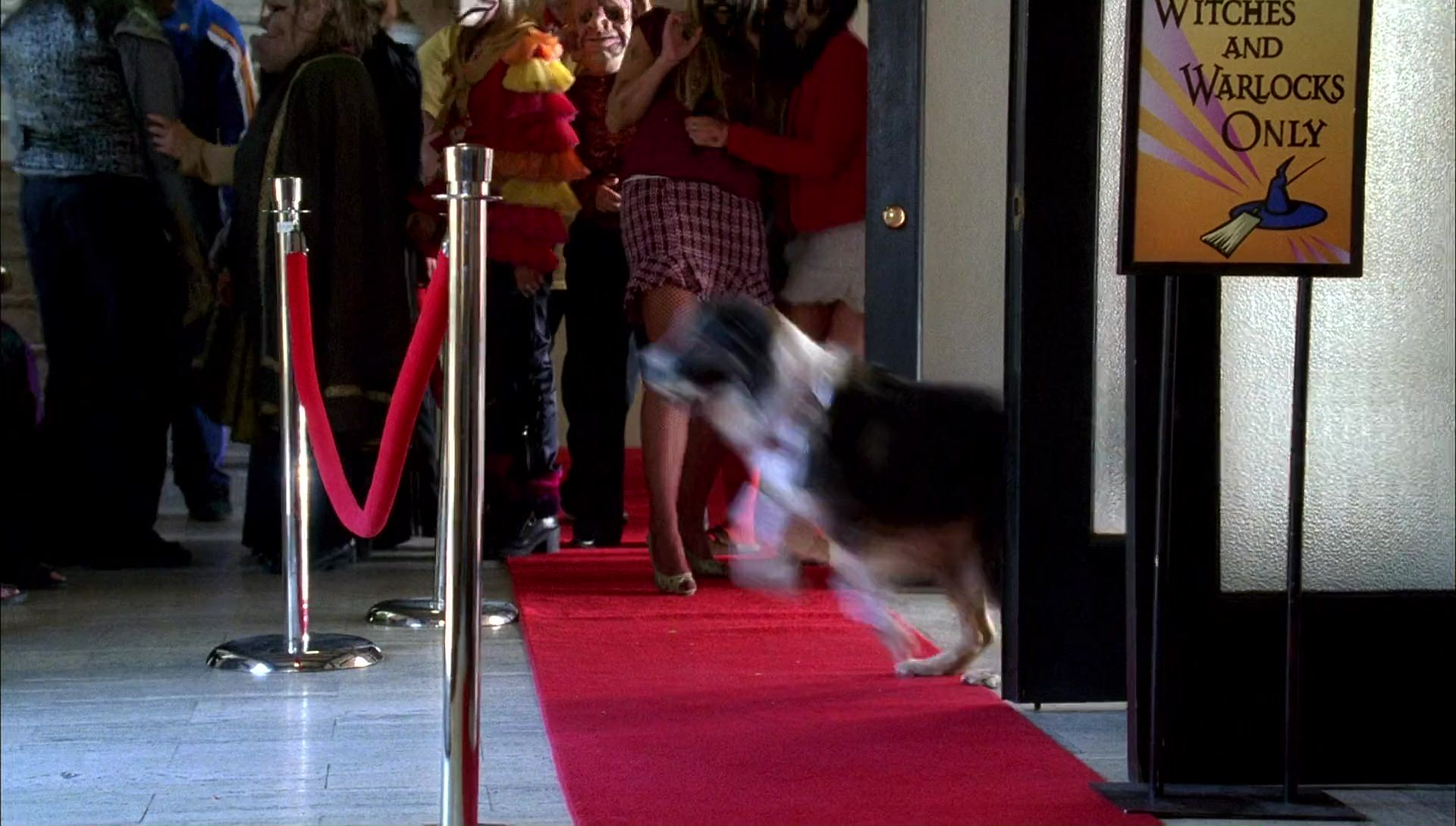 Return to Halloweentown (2006) HD screenshot 9413