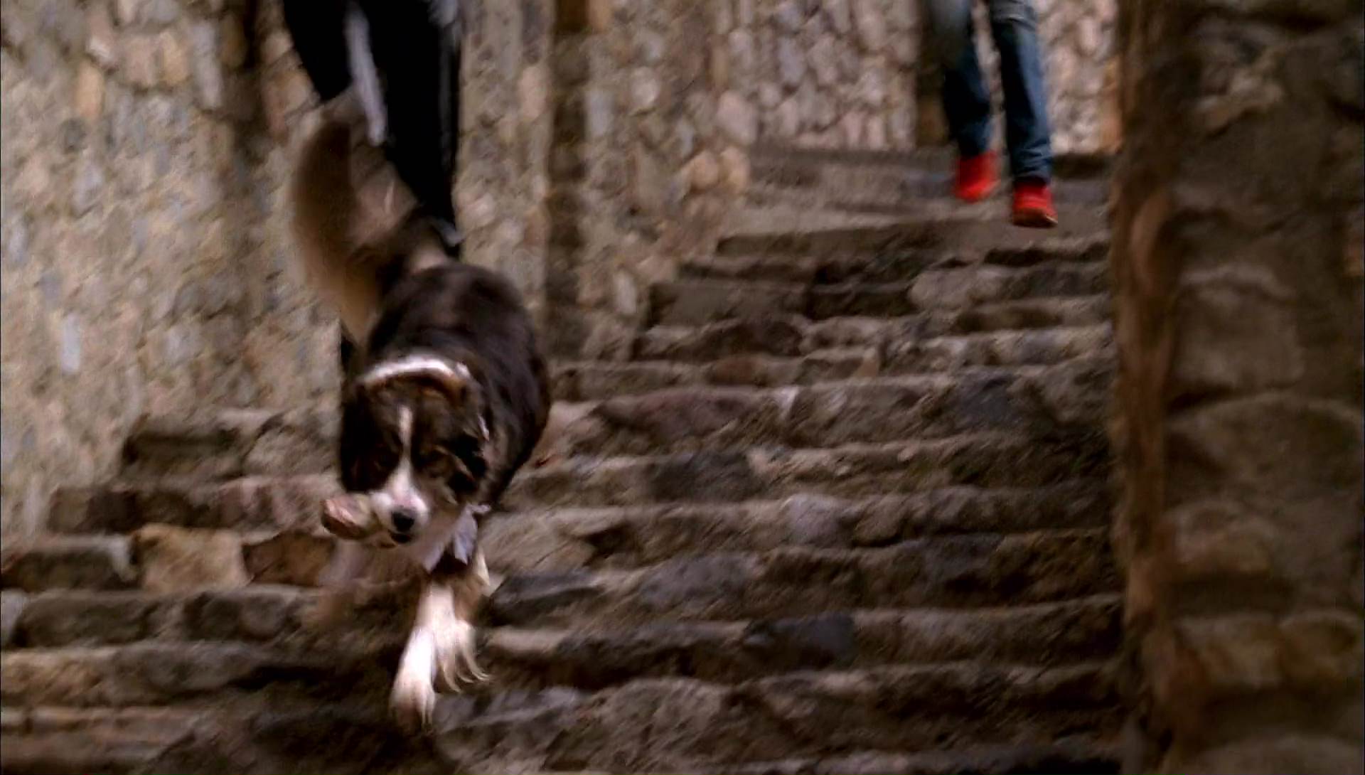 Return to Halloweentown (2006) HD screenshot 9425