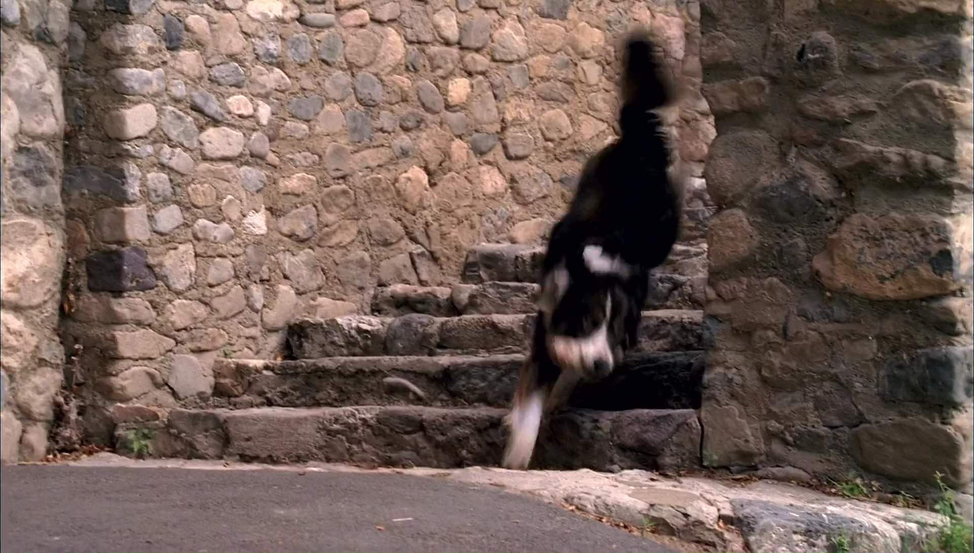 Return to Halloweentown (2006) screencap 9429