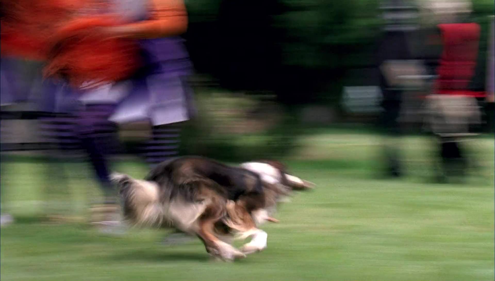 Return to Halloweentown (2006) screencap 9432