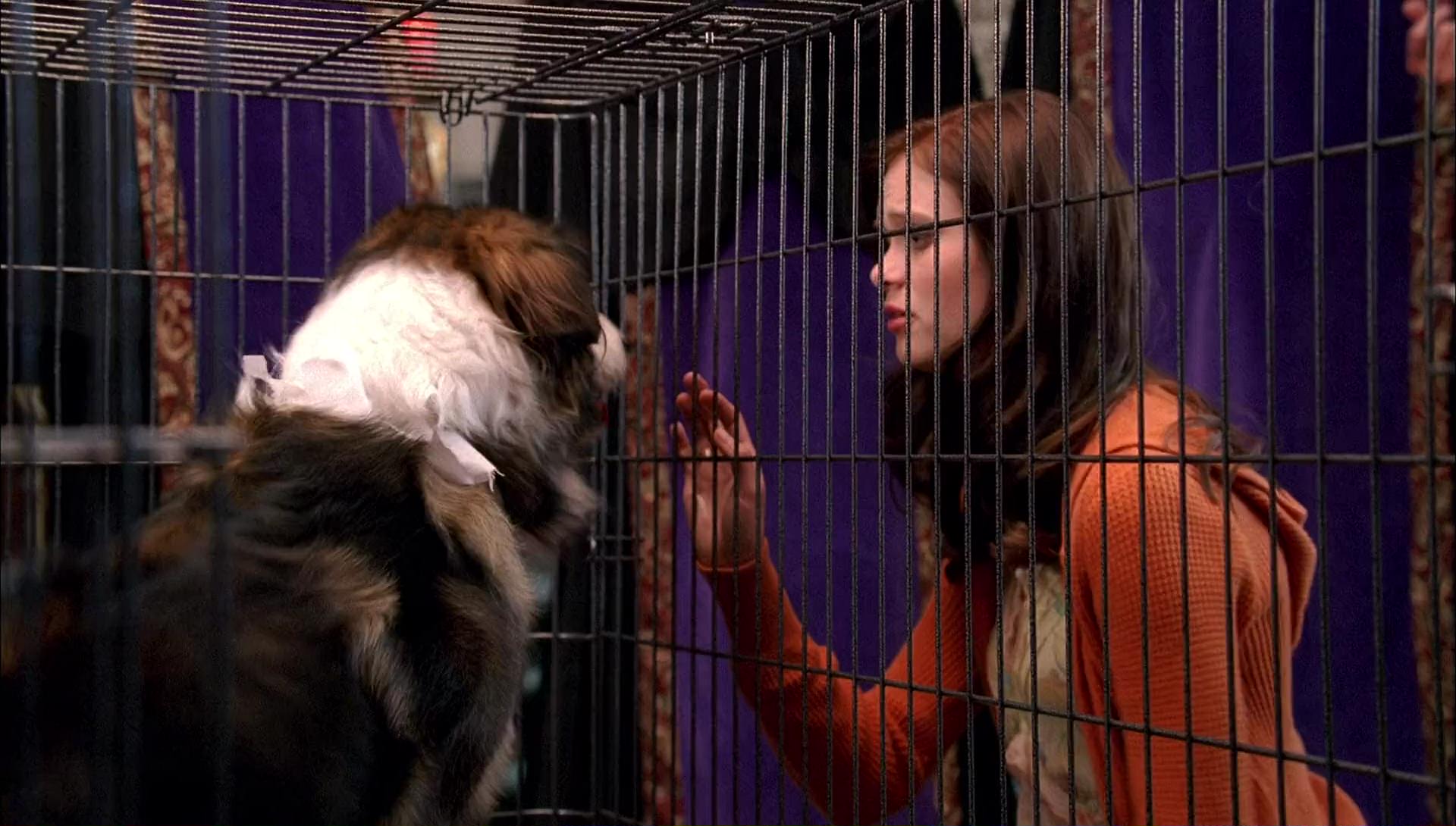 Return to Halloweentown (2006) screencap 9756