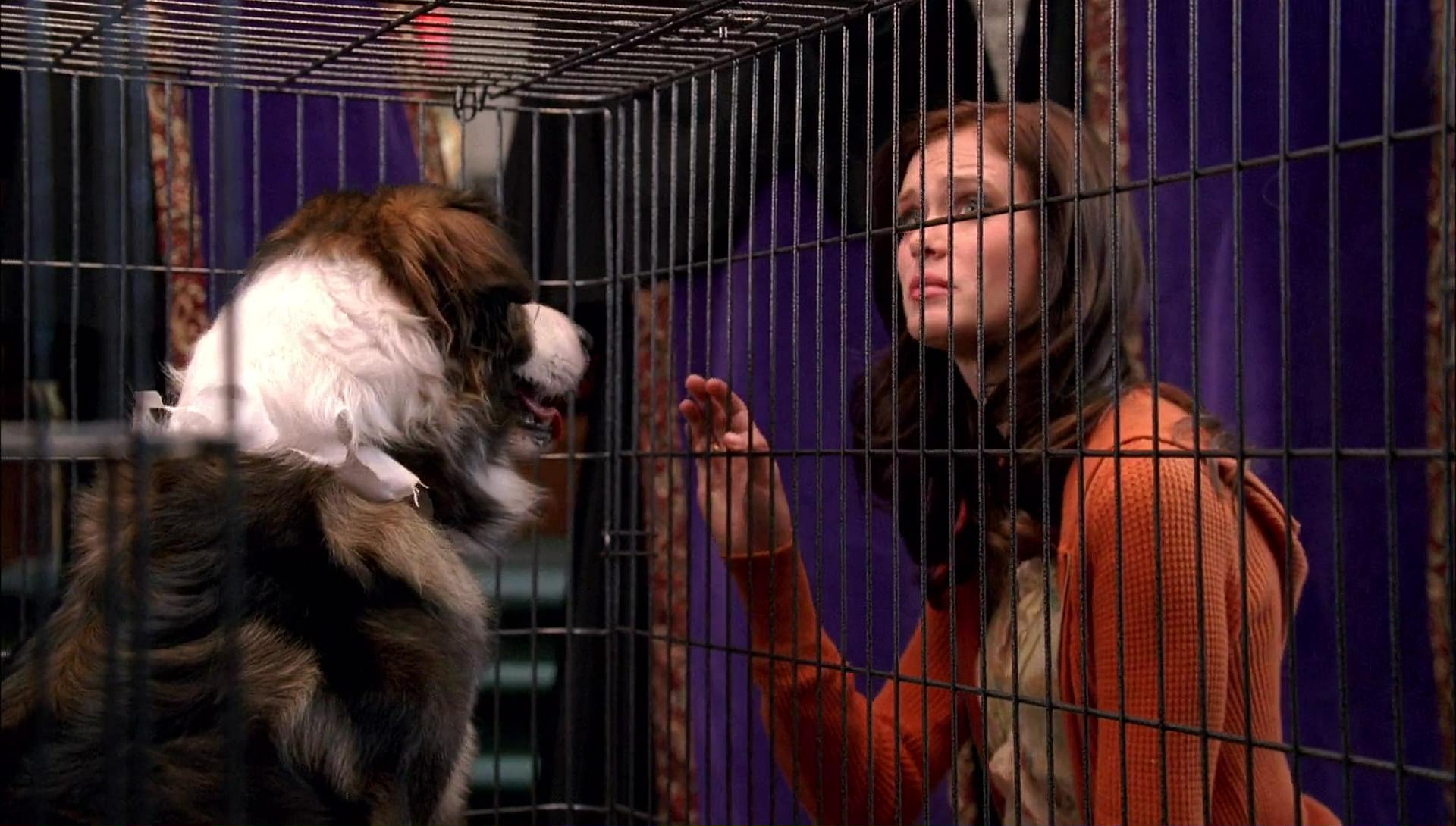 Return to Halloweentown (2006) HD screenshot 9758