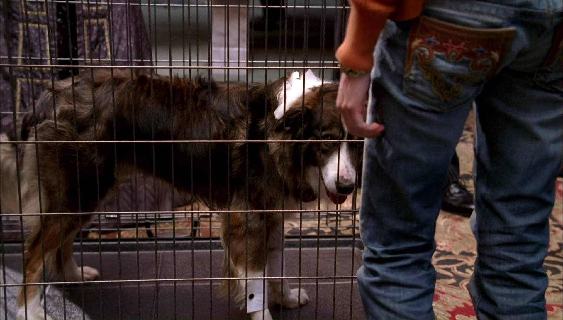 Return to Halloweentown (2006) HD screenshot 9782