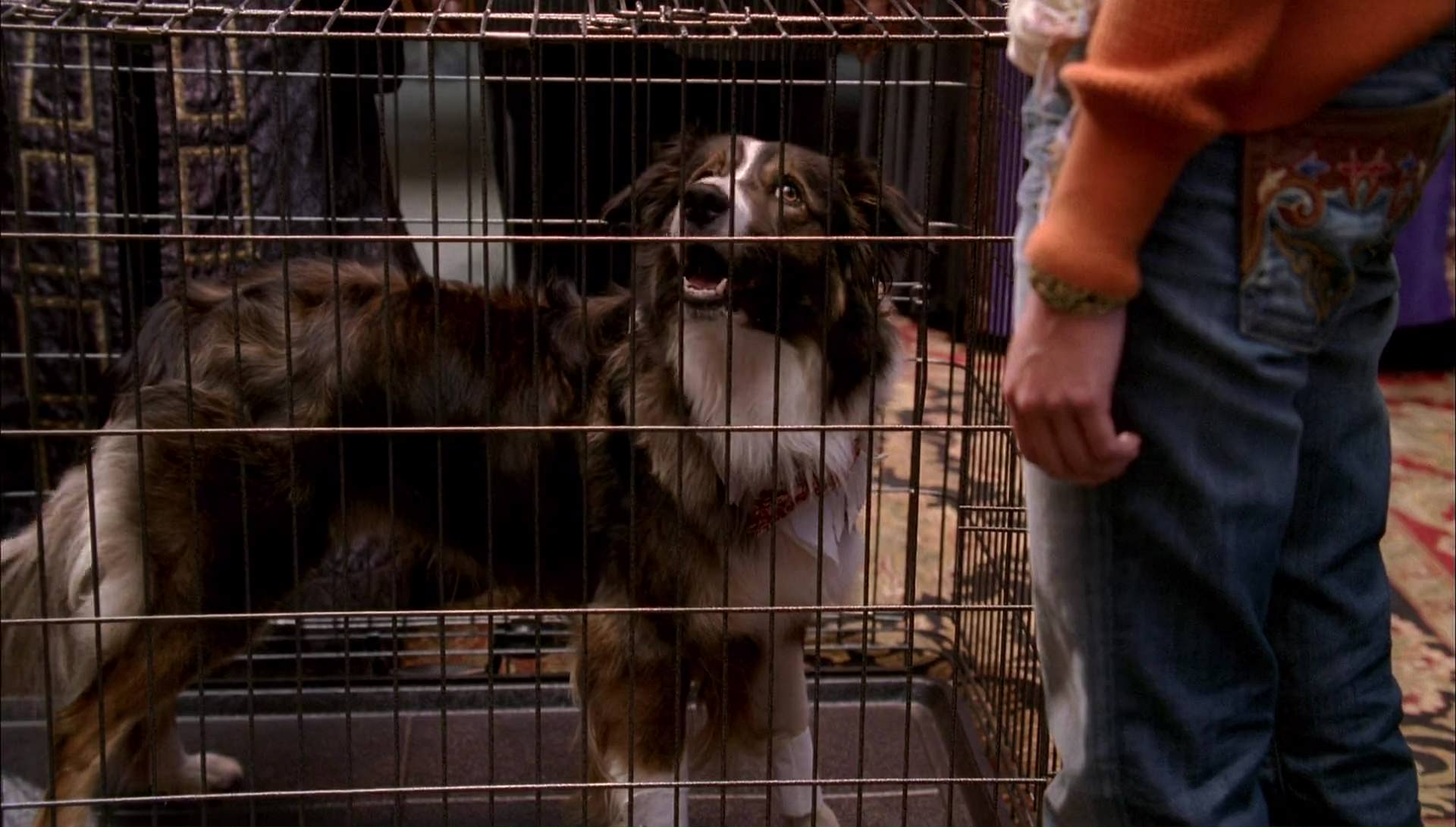 Return to Halloweentown (2006) HD screenshot 9806