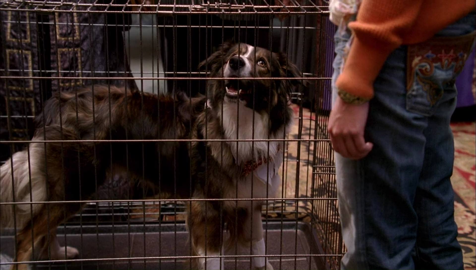 Return to Halloweentown (2006) screencap 9807