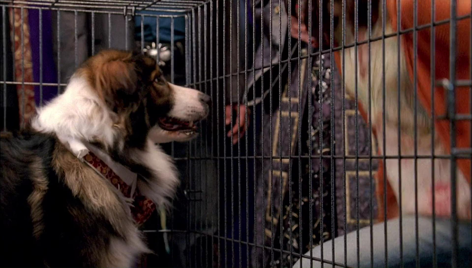 Return to Halloweentown (2006) HD screenshot 9935