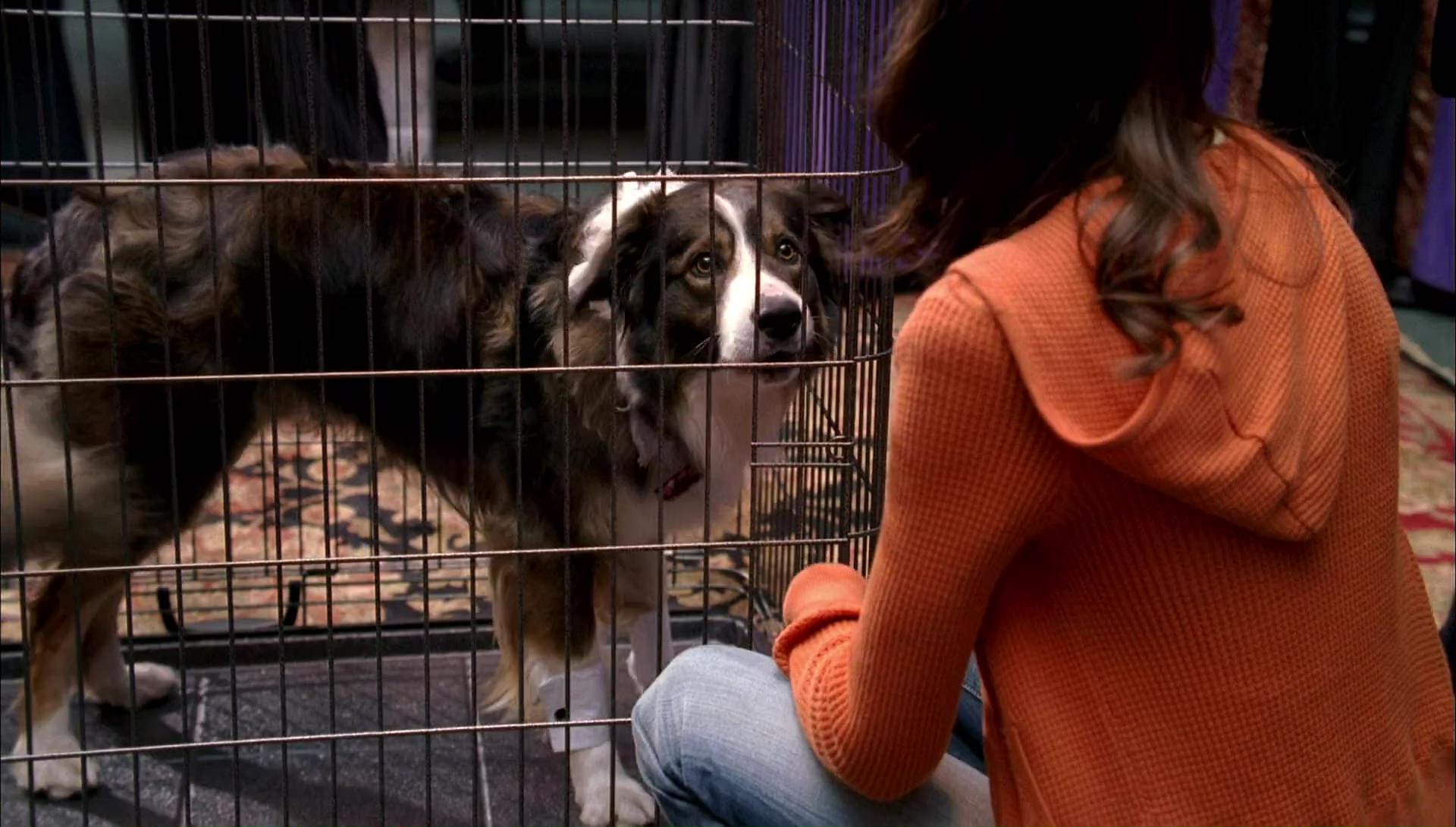 Return to Halloweentown (2006) movie still 9943