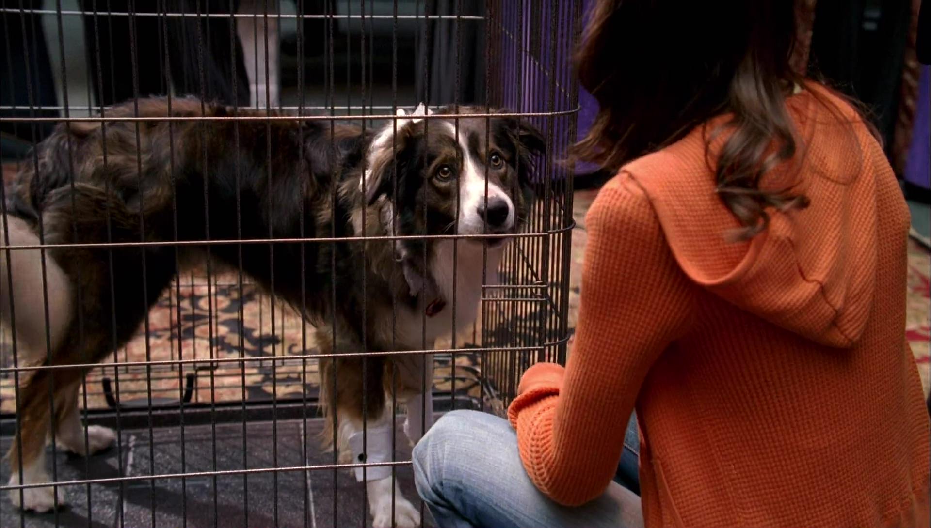 Return to Halloweentown (2006) HD screenshot 9944