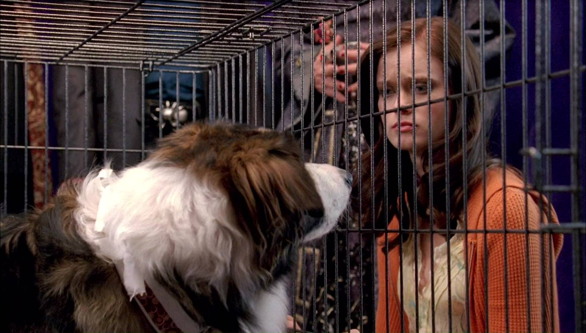 Return to Halloweentown (2006) screencap 9945