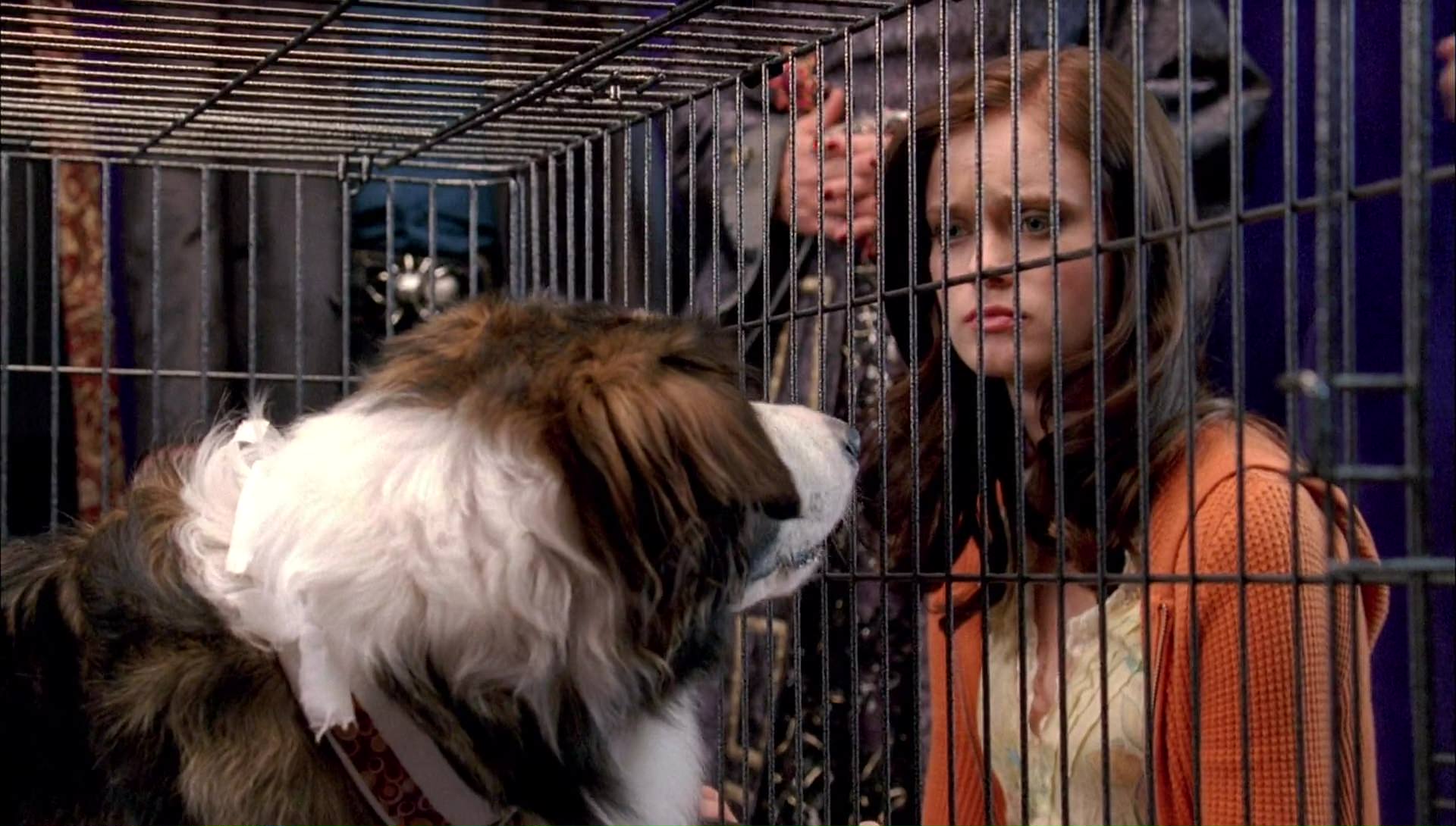 Return to Halloweentown (2006) movie still 9946