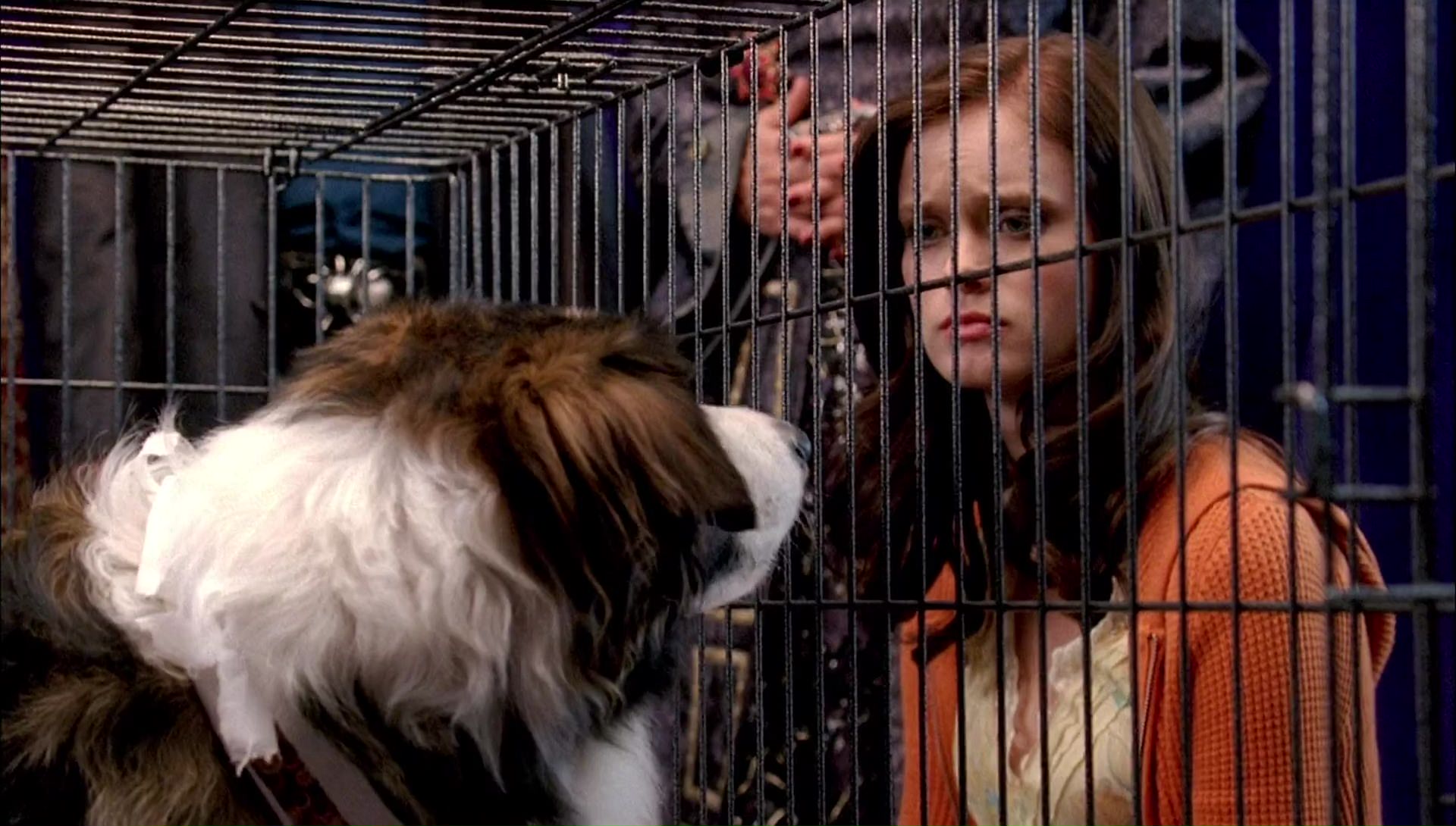 Return to Halloweentown (2006) HD screenshot 9950