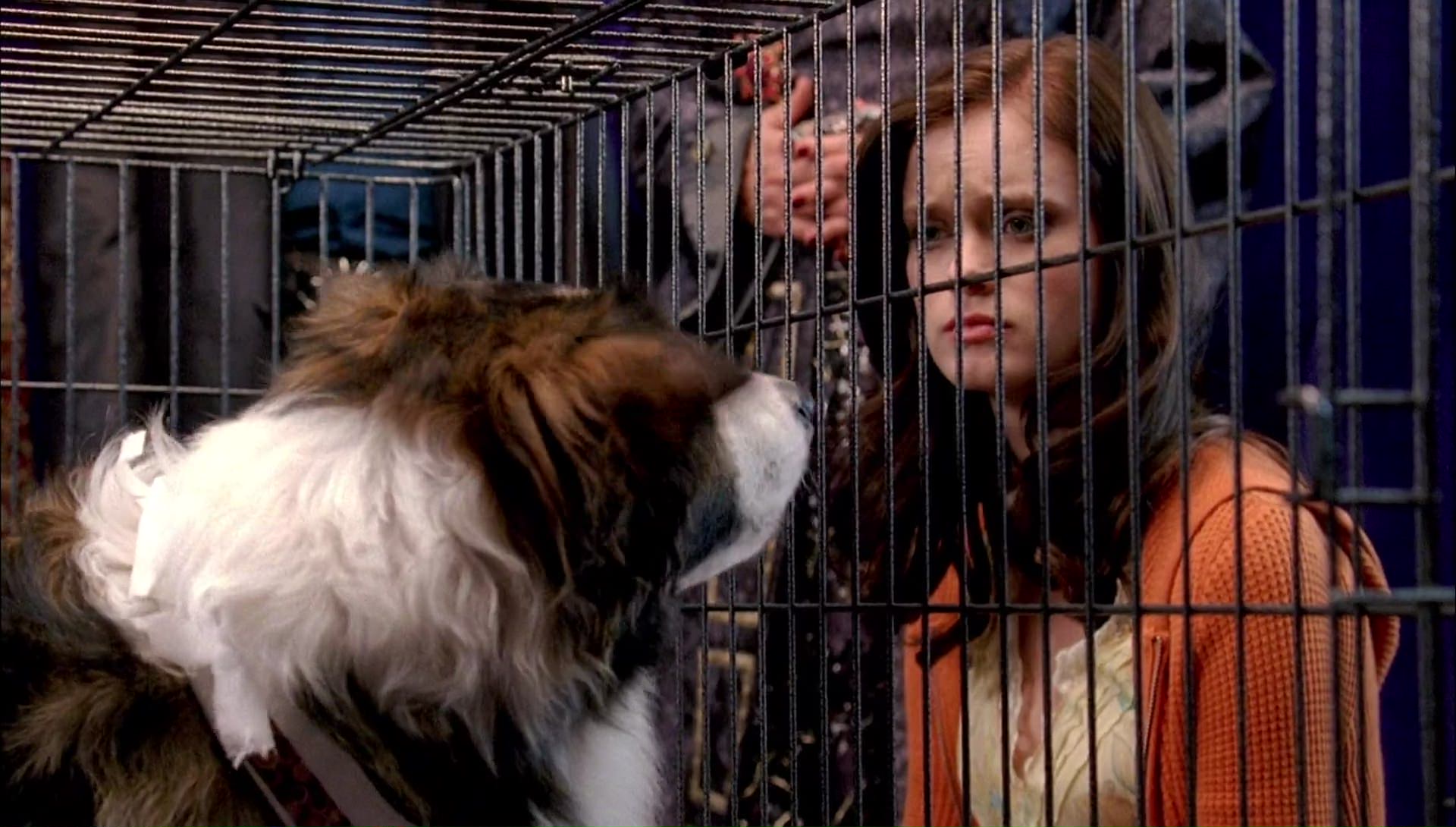Return to Halloweentown (2006) screencap 9951