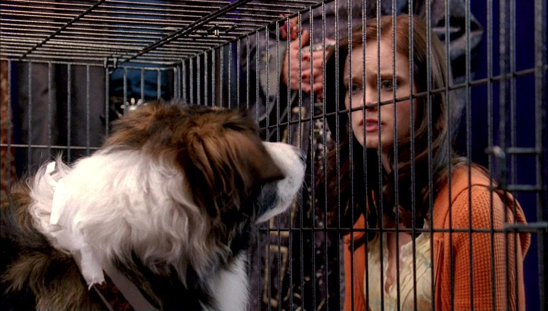 Return to Halloweentown (2006) screencap 9954